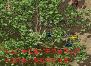 复古传奇私服新开服首日如何快速冲级与获取高级装备? 复古传奇私服新开服首日如何快速冲级与获取高级装备?