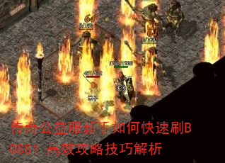 传奇公益服新手如何快速刷BOSS?高效攻略技巧解析 传奇公益服新手如何快速刷BOSS?高效攻略技巧解析