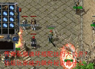 传奇私服魂环搭配技巧大公开?顶级玩家战力飙升秘诀是什么 传奇私服魂环搭配技巧大公开?顶级玩家战力飙升秘诀是什么