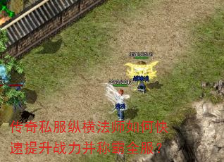 传奇私服纵横法师如何快速提升战力并称霸全服? 传奇私服纵横法师如何快速提升战力并称霸全服?