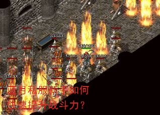 蓝月私服新手如何快速提升战斗力? 蓝月私服新手如何快速提升战斗力?