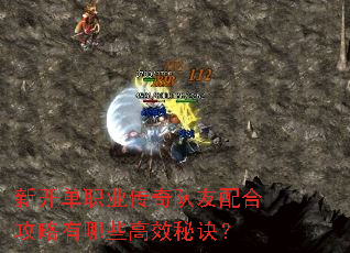 新开单职业传奇队友配合攻略有哪些高效秘诀? 新开单职业传奇队友配合攻略有哪些高效秘诀?