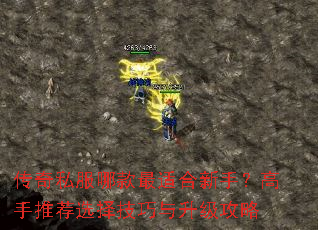 传奇私服哪款最适合新手?高手推荐选择技巧与升级攻略 传奇私服哪款最适合新手?高手推荐选择技巧与升级攻略