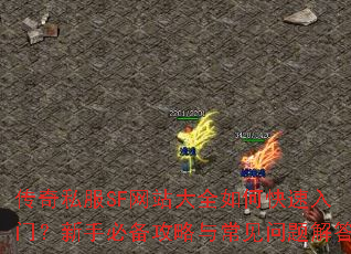 传奇私服SF网站大全如何快速入门?新手必备攻略与常见问题解答 传奇私服SF网站大全如何快速入门?新手必备攻略与常见问题解答