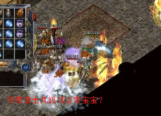 传奇道士几级可以带宝宝? 传奇道士几级可以带宝宝?