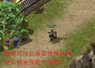 麻痹戒指在合击传奇私服中如何发挥最大作用? 麻痹戒指在合击传奇私服中如何发挥最大作用?