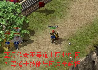 蓝月传奇巫毒道士职业如何?毒道士技能与玩法全解析 蓝月传奇巫毒道士职业如何?毒道士技能与玩法全解析