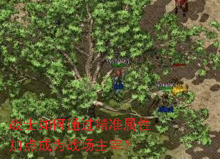 战士如何通过精准属性加点成为战场主宰? 战士如何通过精准属性加点成为战场主宰?