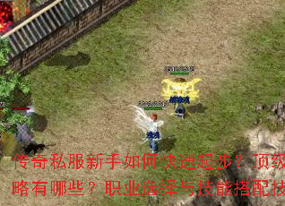 传奇私服新手如何快速起步?顶级装备获取攻略有哪些?职业选择与技能搭配技巧是什么? 传奇私服新手如何快速起步?顶级装备获取攻略有哪些?职业选择与技能搭配技巧是什么?