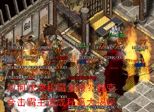 如何快速称霸全服?超变合击霸主速成秘籍大揭秘 如何快速称霸全服?超变合击霸主速成秘籍大揭秘