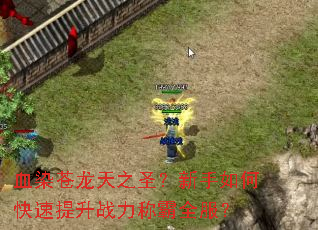血染苍龙天之圣?新手如何快速提升战力称霸全服? 血染苍龙天之圣?新手如何快速提升战力称霸全服?
