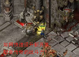 如何快速提升新开单职业传奇的战斗力? 如何快速提升新开单职业传奇的战斗力?