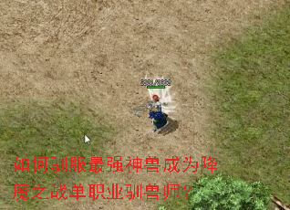 如何驯服最强神兽成为降魔之战单职业驯兽师? 如何驯服最强神兽成为降魔之战单职业驯兽师?