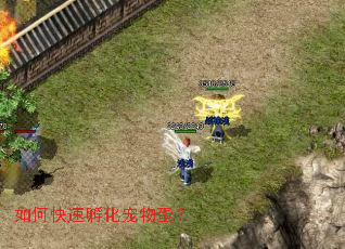 如何快速孵化宠物蛋? 如何快速孵化宠物蛋?