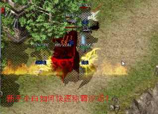 新手小白如何快速称霸沙场? 新手小白如何快速称霸沙场?