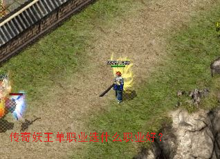 传奇妖王单职业选什么职业好? 传奇妖王单职业选什么职业好?