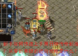 新手如何快速上手黄日华传奇新服?从零到英雄的进阶攻略是什么? 新手如何快速上手黄日华传奇新服?从零到英雄的进阶攻略是什么?