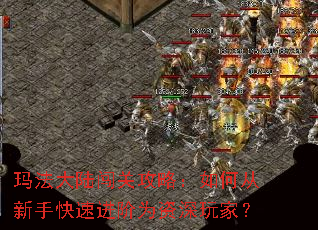 玛法大陆闯关攻略:如何从新手快速进阶为资深玩家? 玛法大陆闯关攻略:如何从新手快速进阶为资深玩家?