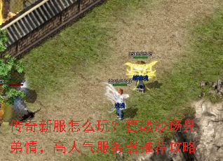 传奇新服怎么玩?百战沙场兄弟情,高人气服务器推荐攻略 传奇新服怎么玩?百战沙场兄弟情,高人气服务器推荐攻略