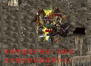 如何快速提升等级?纵横玛法大陆的终极秘籍是什么? 如何快速提升等级?纵横玛法大陆的终极秘籍是什么?