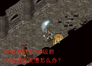 神佑单职业300级后升级速度变慢怎么办? 神佑单职业300级后升级速度变慢怎么办?