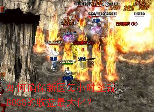 如何确保新区每小时圣裁BOSS的收益最大化? 如何确保新区每小时圣裁BOSS的收益最大化?