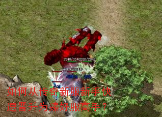 如何从传奇新服新手快速晋升为臻好服高手? 如何从传奇新服新手快速晋升为臻好服高手?