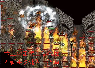 �����ϻ�������ô�棿���ֿ�������ָ��