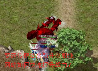 ��̬����˽���¿���ְҵ��վ��ο�������ս����