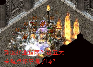 新区择业指南?这五大关键点你掌握了吗? 新区择业指南?这五大关键点你掌握了吗?