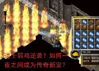��ʿ������Ϯ�����һҹ֮���Ϊ�����³裿