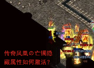 �����ˤ���������������μ��