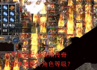 如何在10元GM权限传奇平台快速提升角色等级? 如何在10元GM权限传奇平台快速提升角色等级?