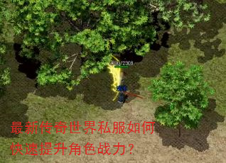 最新传奇世界私服如何快速提升角色战力? 最新传奇世界私服如何快速提升角色战力?