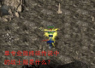 单专业微终端传说中的战士服是什么? 单专业微终端传说中的战士服是什么?