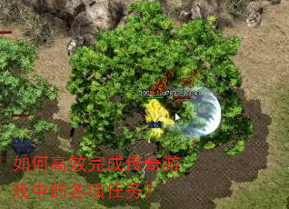 ��θ�Ч��ɴ�����Ϸ�еĸ�������