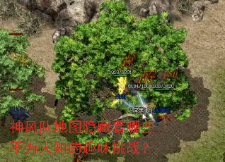 ���ӵ�ͼ��������Щ��Ϊ��֪��Ȥζ��ս��