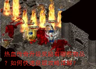 ��Ѫ����������������Щ��Ʒ����ο��ٻ�ȡ������⣿