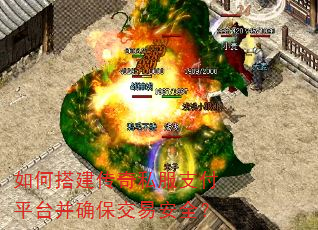 ��δ����˽��֧��ƽ̨��ȷ�����װ�ȫ��