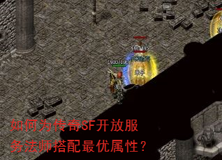 ���Ϊ����SF���ŷ���ʦ�����������ԣ�