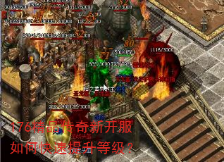 176��Ʒ�����¿�����ο��������ȼ���
