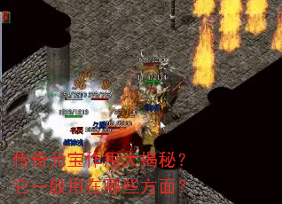 ����Ԫ�����ô���أ���һ��������Щ���棿