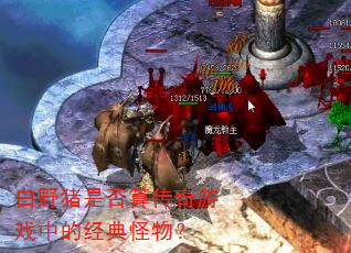 ��Ұ���Ƿ��㴫����Ϸ�еľ�����
