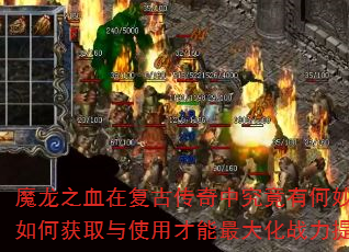 ħ��֮Ѫ�ڸ��Ŵ����о����к����ã���λ�ȡ��ʹ�ò������ս��������