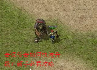 奇保传奇如何快速升级?新手必看攻略 奇保传奇如何快速升级?新手必看攻略