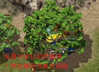 ˽��IP������ν�������ٽ������Դ����