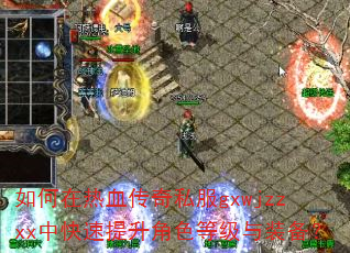 �������Ѫ����˽��gxwjzzxx�п���������ɫ�ȼ���װ����