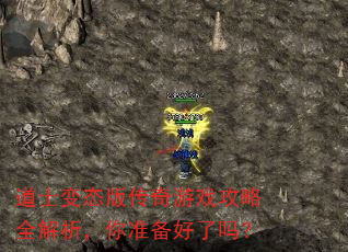 ��ʿ��̬�洫����Ϸ����ȫ��������׼��������
