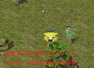 ����ʧ�汾������վ�򲻿���ô�죿��Ϸ����������