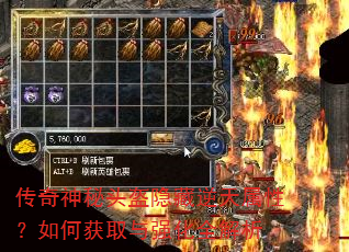 ��������ͷ�������������ԣ���λ�ȡ��ǿ��ȫ����